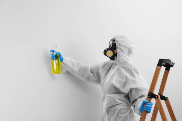 Trusted Avilla, IN Mold Removal Services Experts